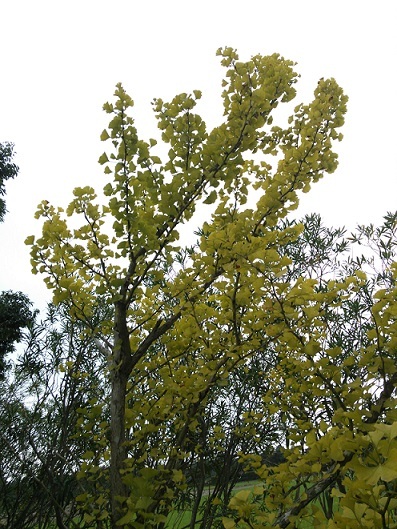 141003-05